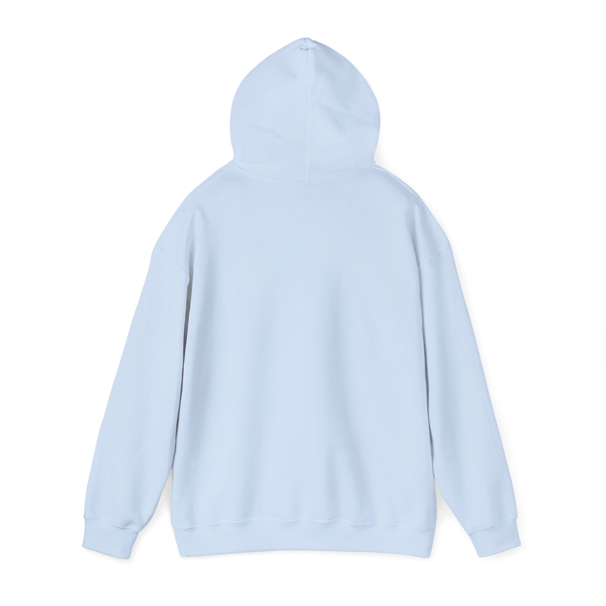 Cousins Beach Hoodie